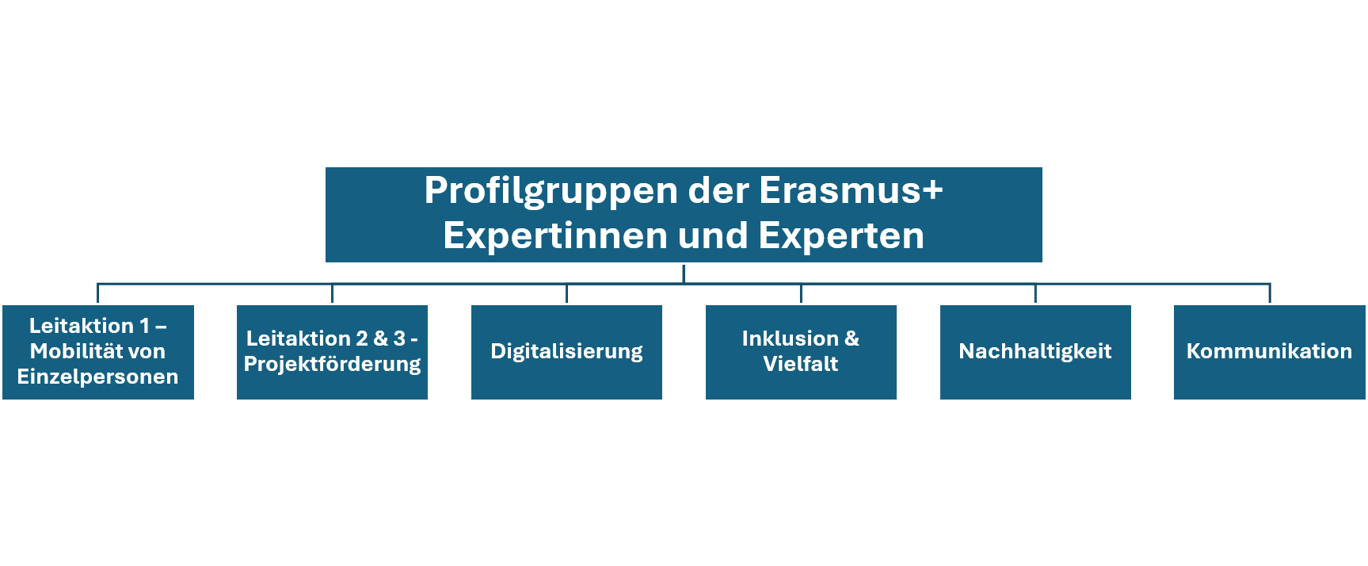 Grafische Übersicht der Profilgruppen