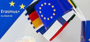 Erasmus Mini-Beach-Flag und kleine Europaflaggen