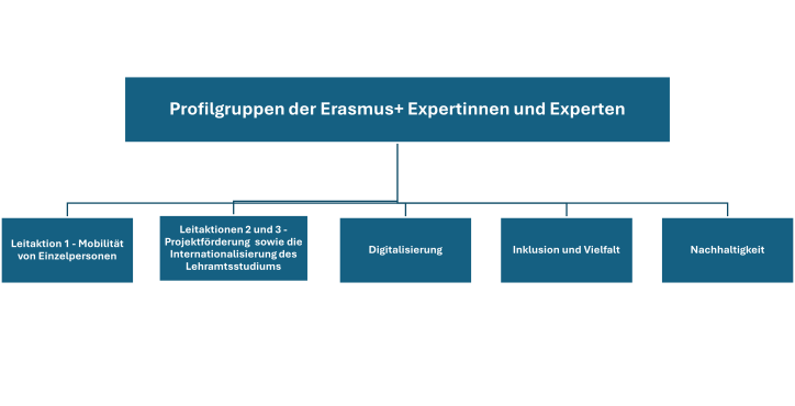 Übersicht Experten