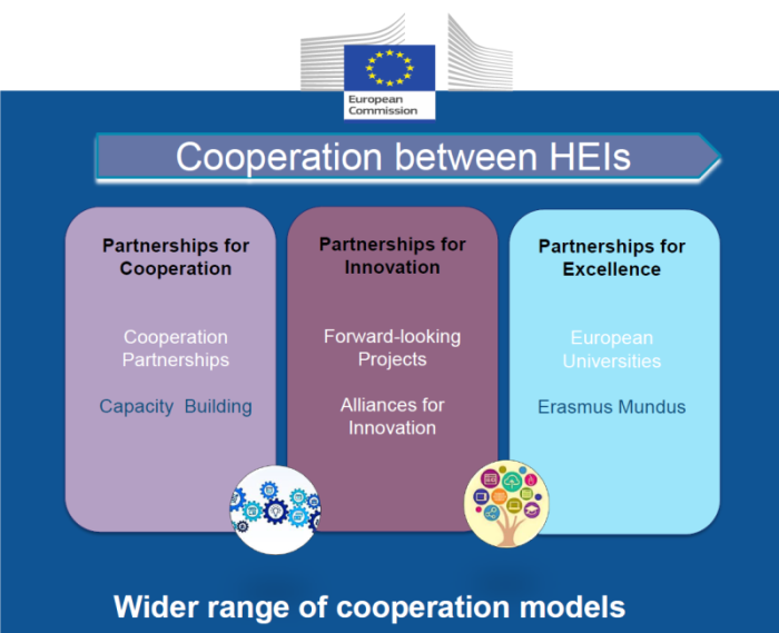 Cooperation Between Heis